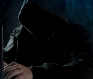 Photo by Bermix Studio on Unsplash