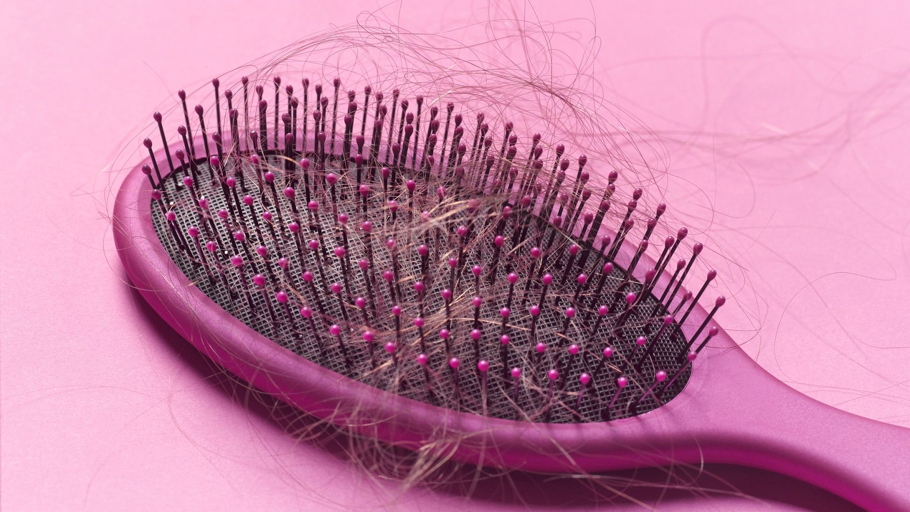 Cómo limpiar los cepillos del pelo - Blog de Arenal