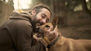 La futura Ley de Derechos de los animales de compañía, protegerá a nuestras mascotas.