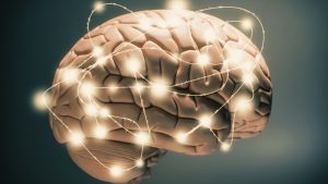 El cerebro recupera todos nuestros recuerdos antes de morir.