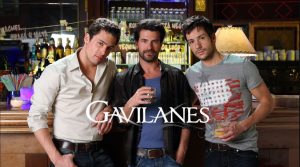 Gavilanes en español