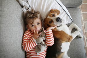 perros y niños