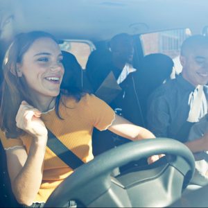 limpiar mosquitos coche