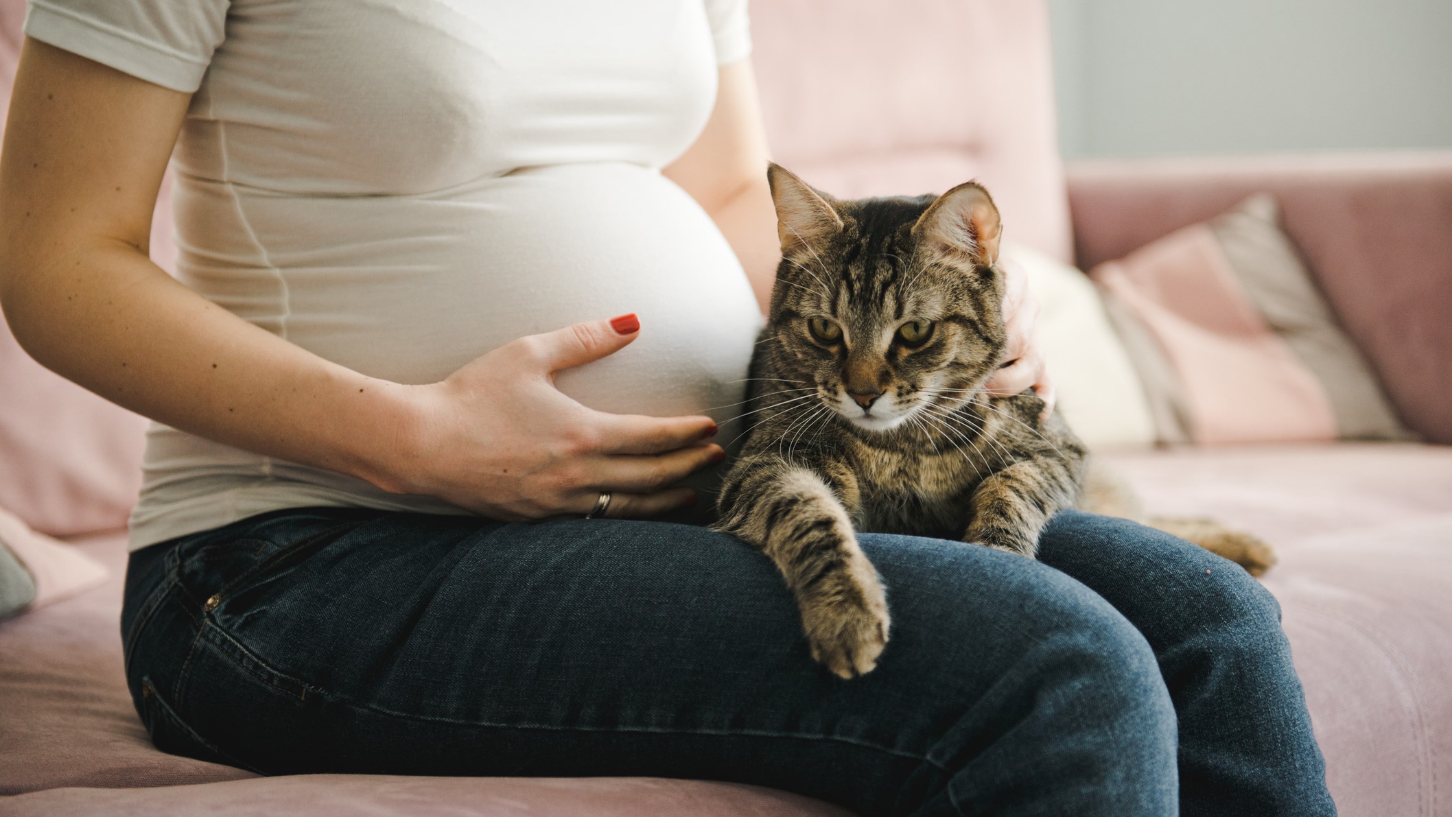 Mujer gestante sentada junto a su gato.