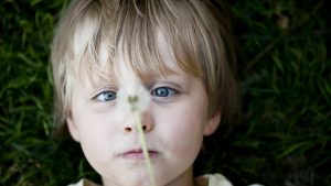 Boy looking at dandelion