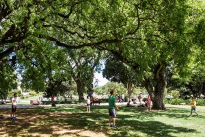 Portugal, Lisbon, Belem, Jardim Vasco da Gama, urban park lawn