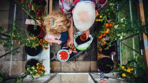 Qué plantar en marzo.