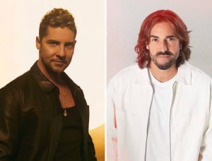 bisbal andres
