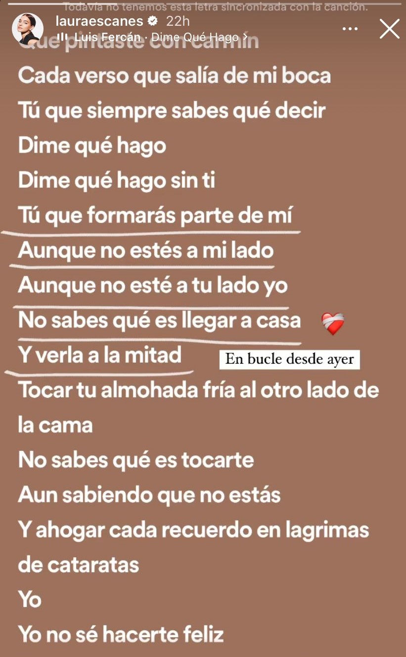 Laura Escanes comparte una captura de pantalla de una canción de Luis Fercán.