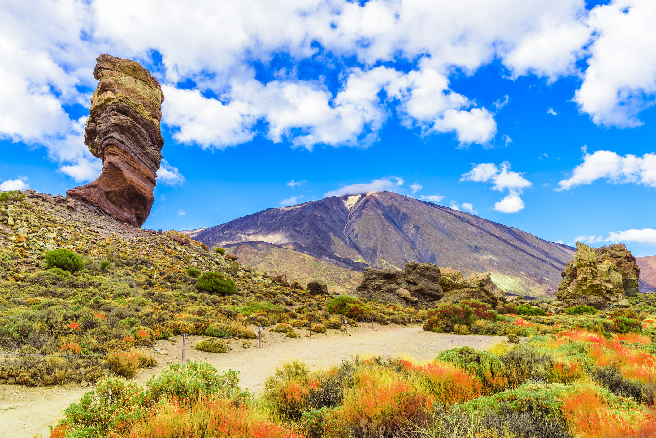 Vistas a los roques y al Teide.