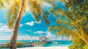 isla de las tentaciones