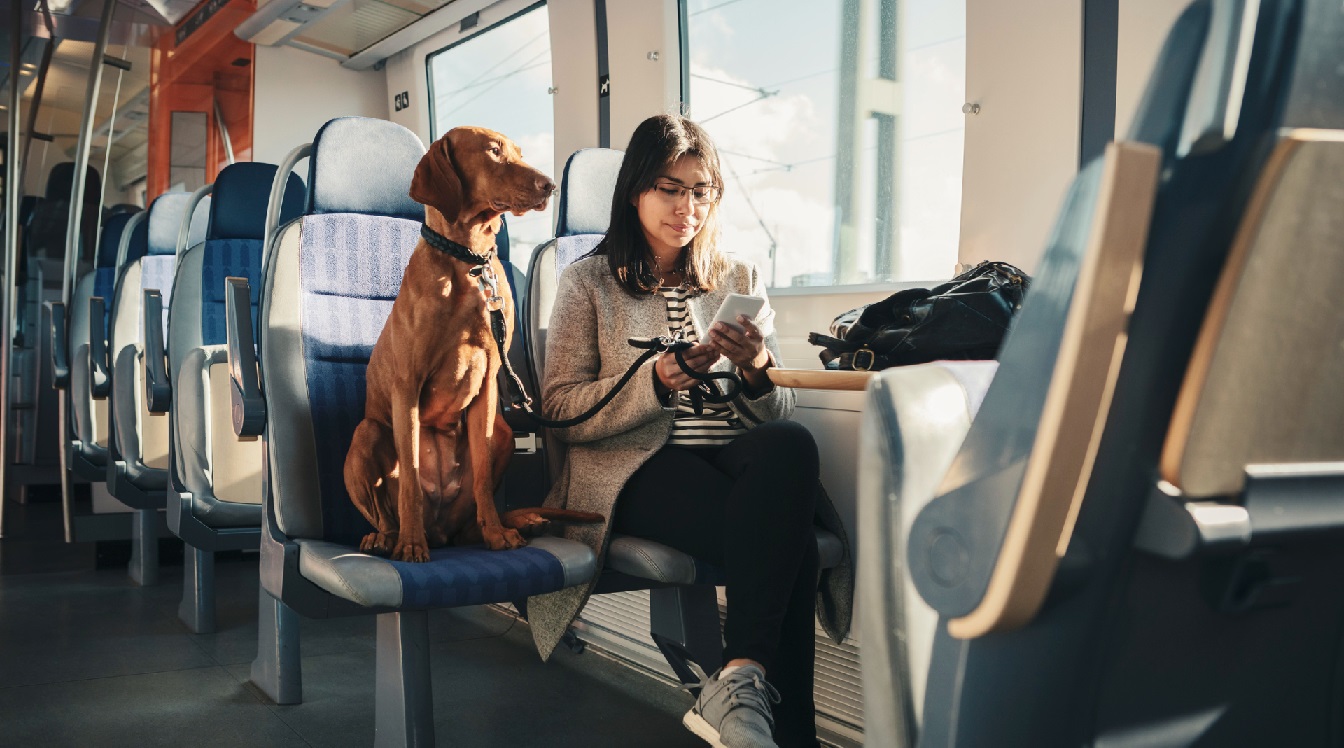 Viajar en tren con tu mascota.