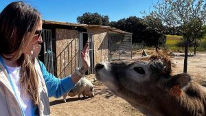 Malú visitando una protectora de animales
