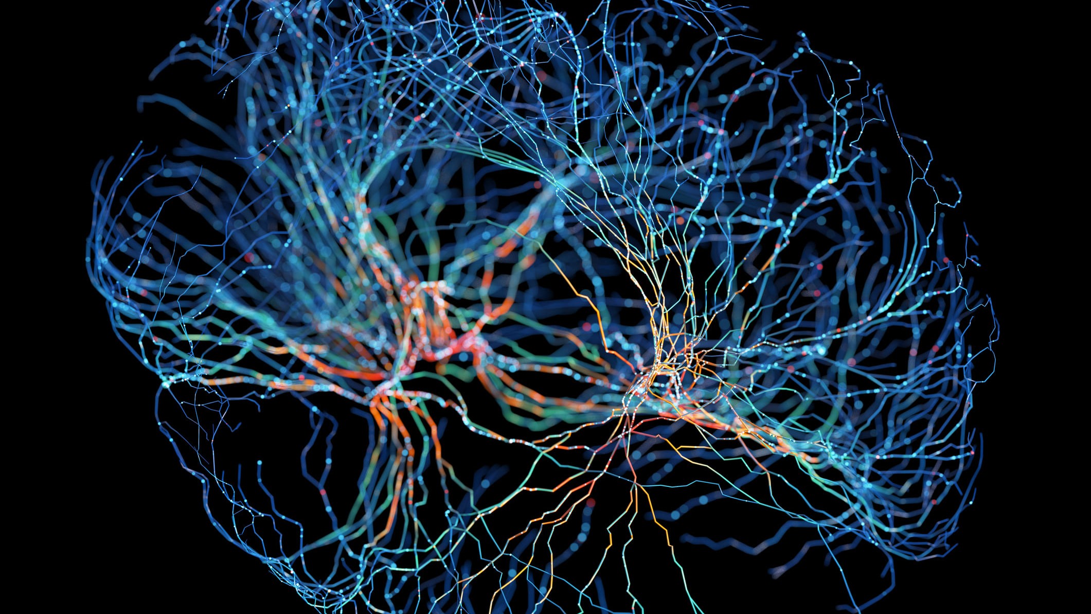 Sistema neuronal con las diferentes conexiones.