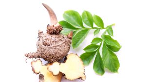 Konjac, Elephant yam, Stanley s water-tub