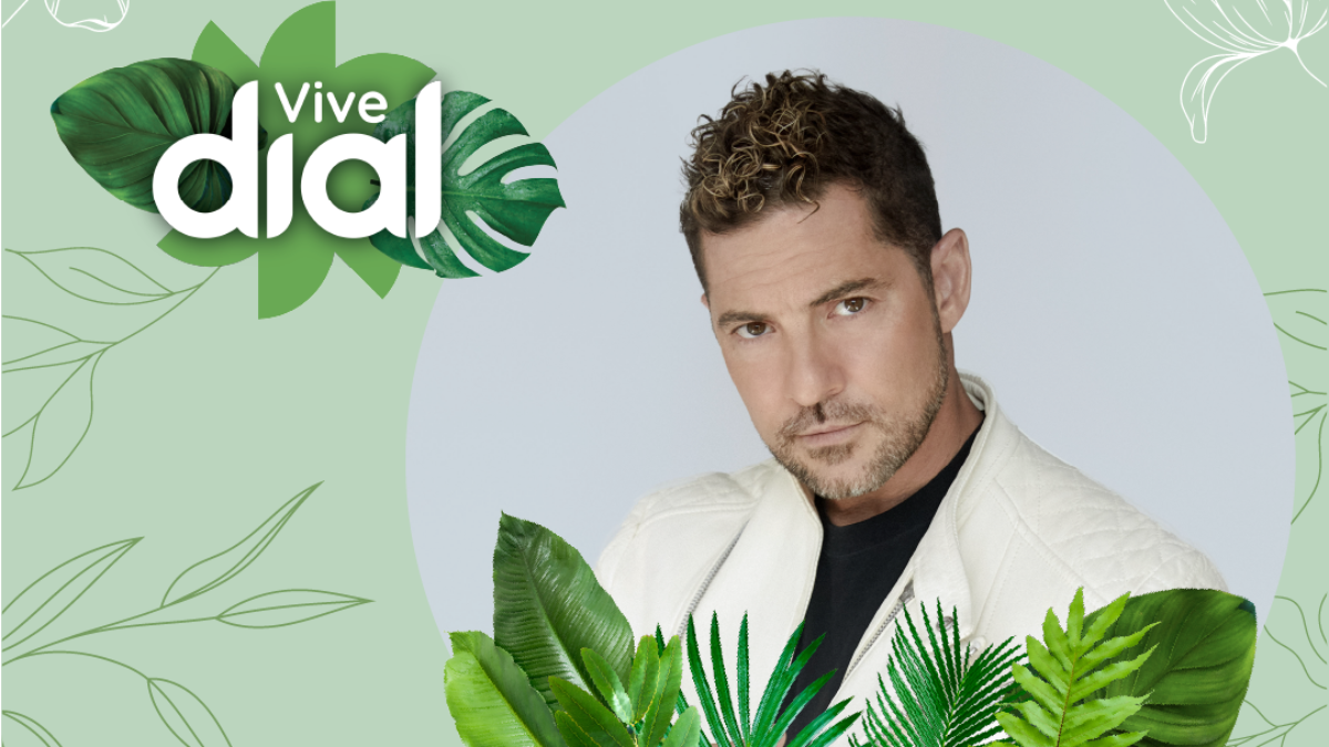 David Bisbal