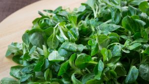 Fresh lamb lettuce corn salad on wooden table.