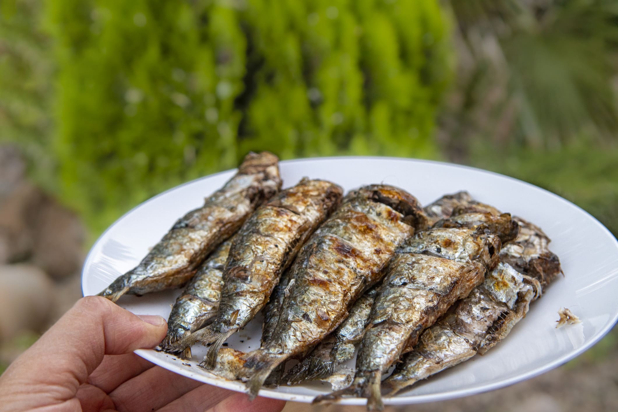 Alimentos como las sardinas a la plancha son un básico en verano.