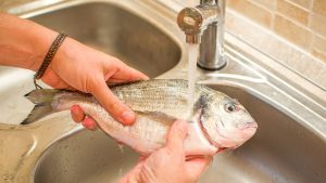 hands washing raw gilthead fish food in kitchen sink
