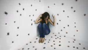 Significado de soñar con arañas