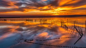 Los atardeceres en Valencia