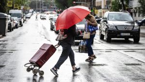 'Veranillo de San Miguel'