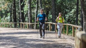 Couple hiking in green forest