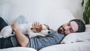 Man napping with dog while lying on sofa at home