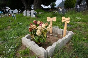 Pet Cemetery in San Francisco