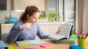 Novedades en la beca MEC para 2024/2025