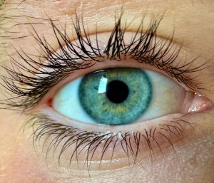 Green Eyes - The Rarest Eye Colour