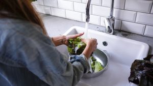 Cropped image of woman washing lettuce at sink in kitchen