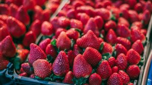 Fresas