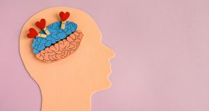 El cerebro cuando nos enamoramos