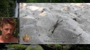 Gorka Ibarguren sufre una picadura en 'Supervivientes 2024'