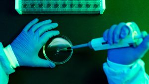 Bacterias laboratorio