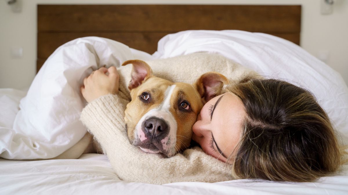 Mascota durmiendo con dueña