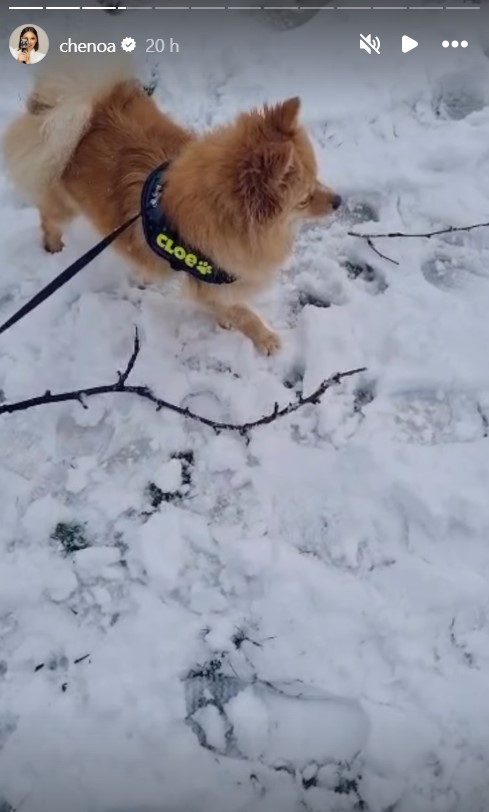 Instagram Chenoa