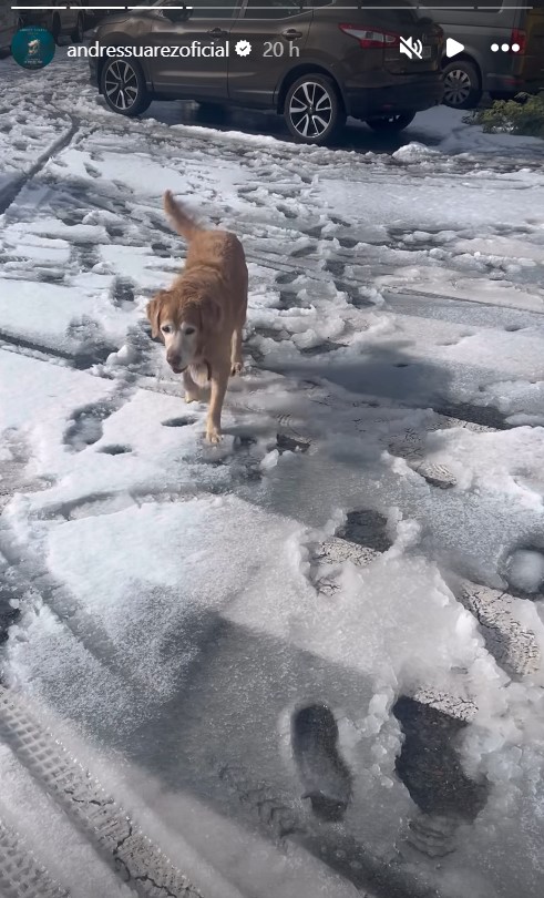 Instagram Andrés Suárez