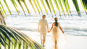 Casados a primera vista (1)