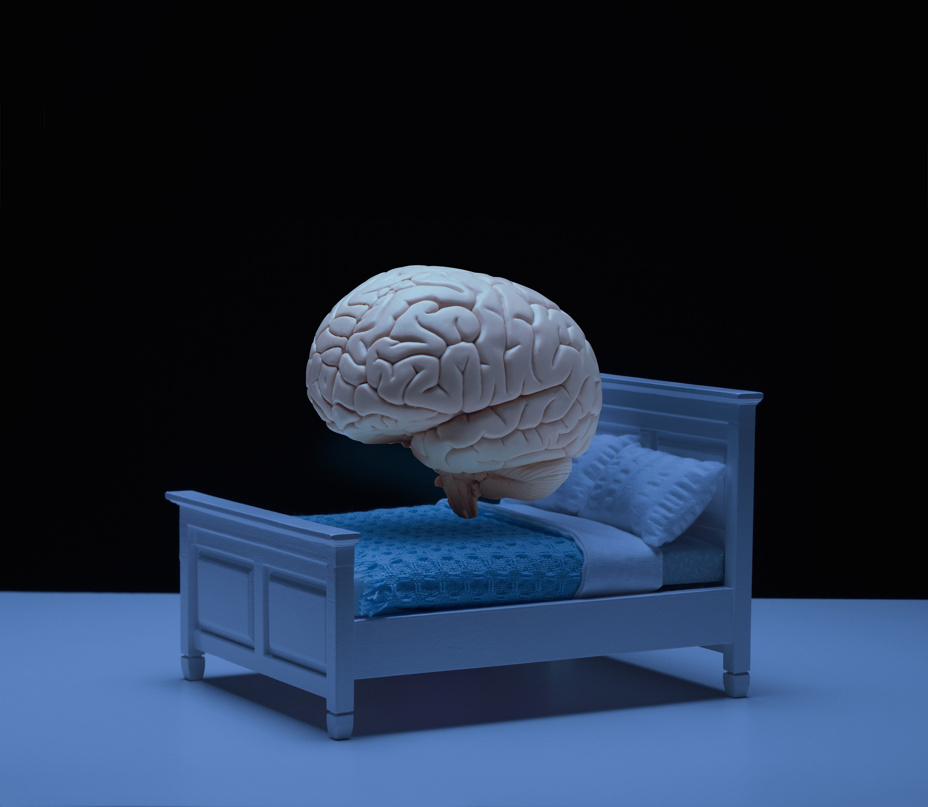 Cerebro dormido