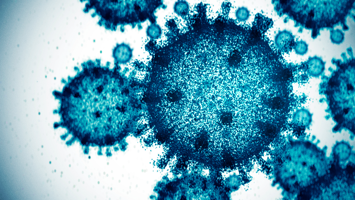 Hantavirus