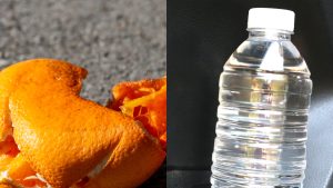 Naranja y botella