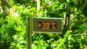 Calor