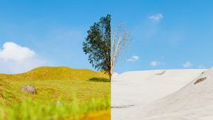 Frío y calor