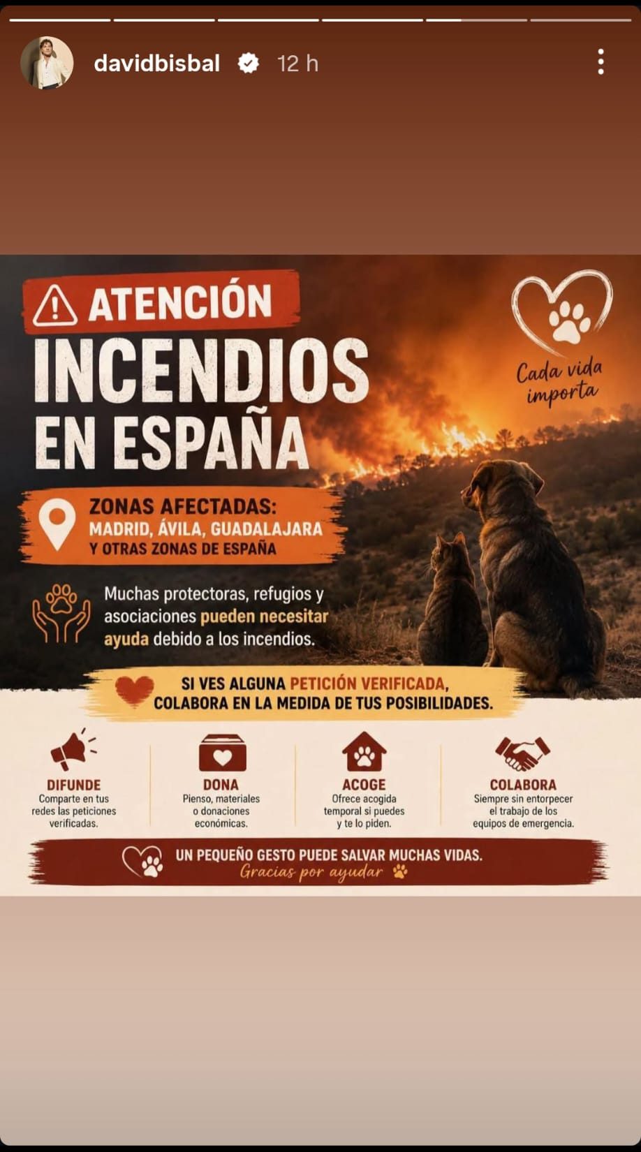 Información compartida por David Bisbal