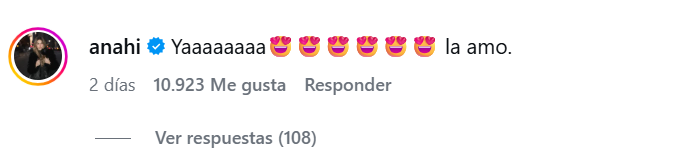 Comentario Anahí