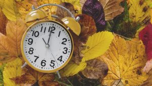 Llega el otoño