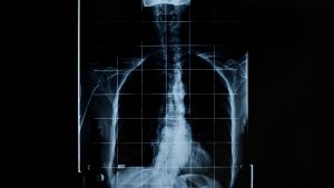 Cuerpo humano
