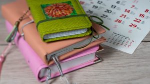 agendas Hobonichi